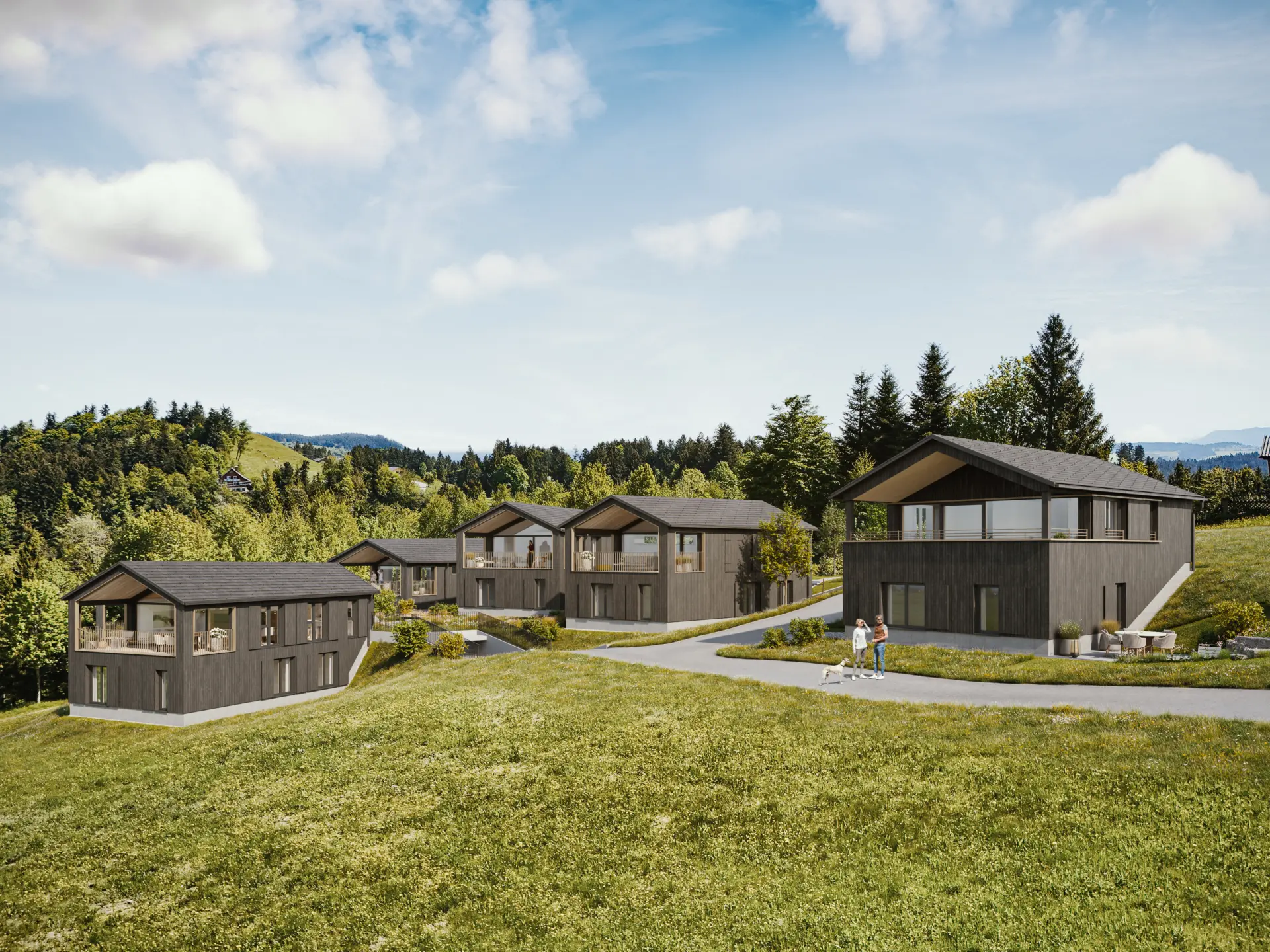 Die sechs SEEnsucht BERGchalets am Pfänder von oben